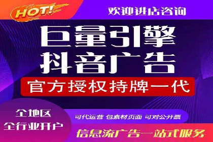 信息流广告的个性化投放策略及效果评估案例